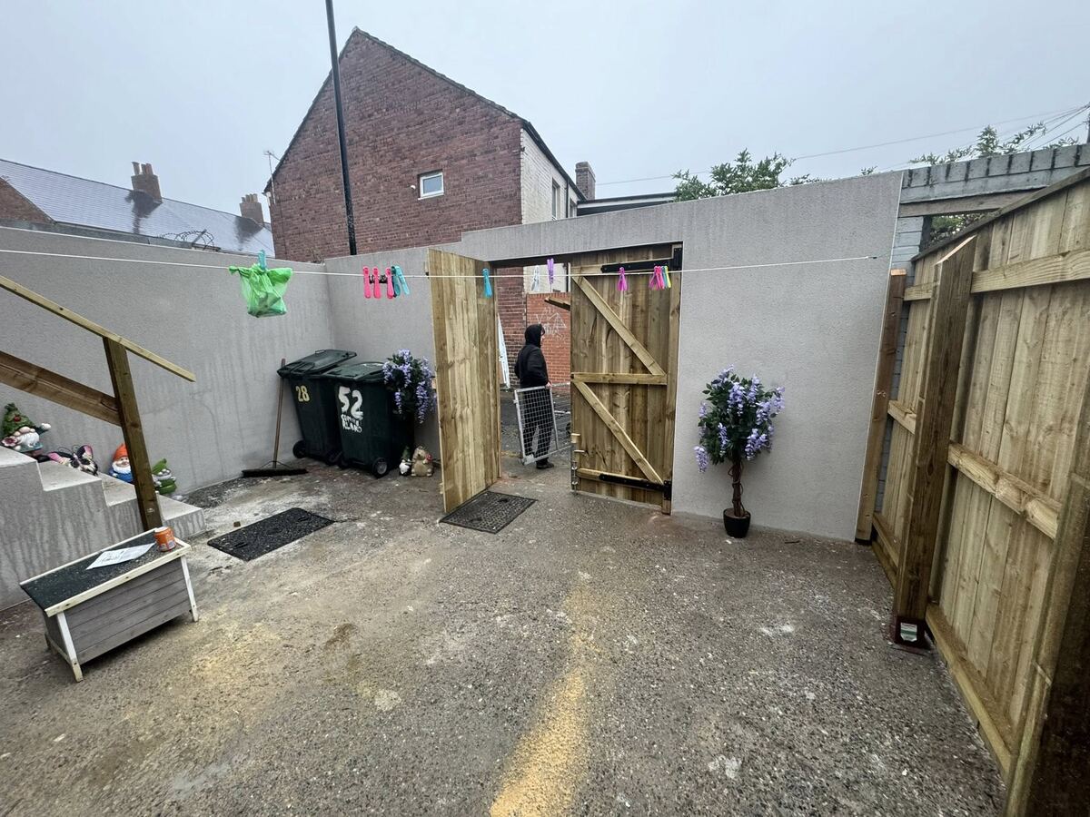 Back yard with new timber fencing and two ledged and braced gates